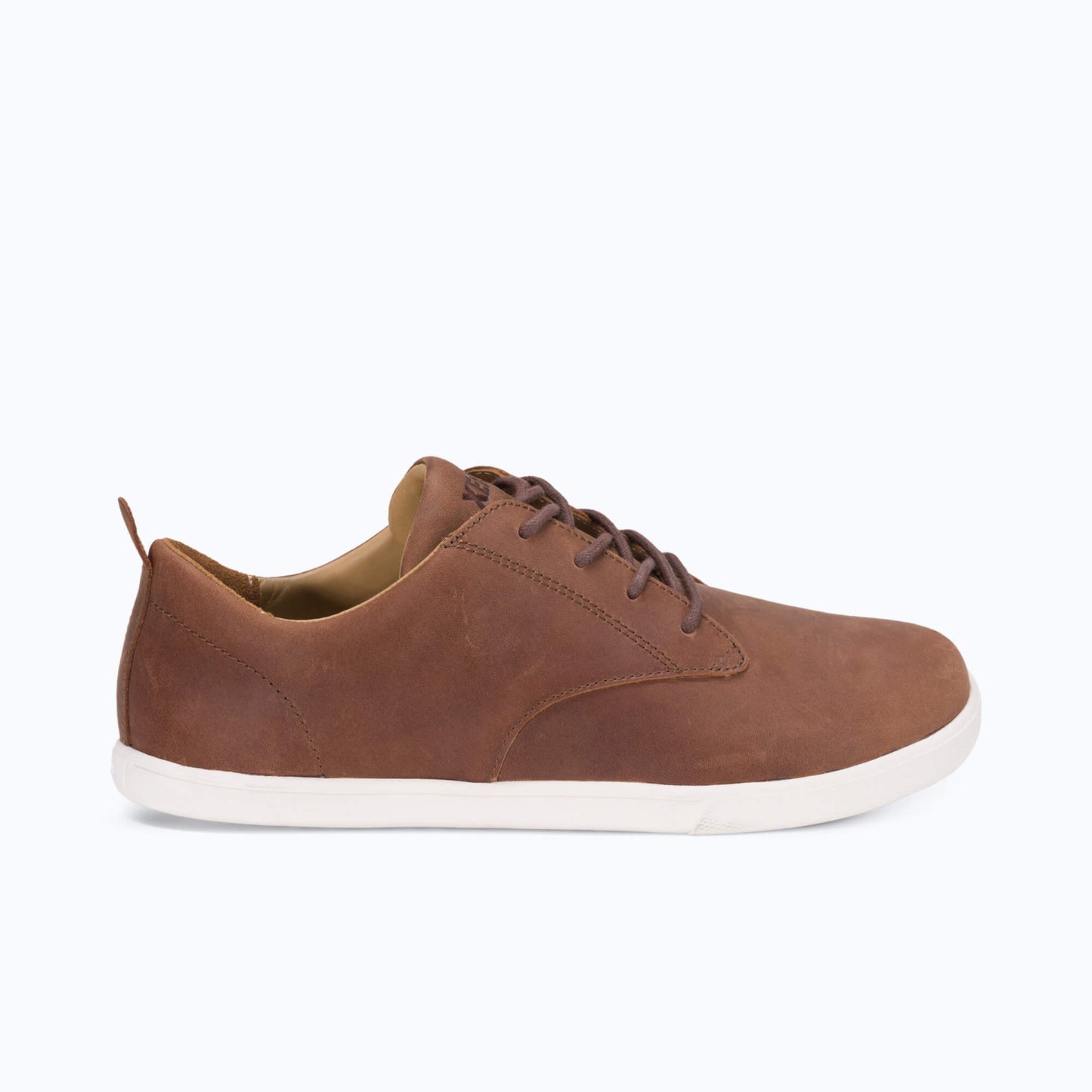 Glenn - Men - Xero Shoes Exclusive Deal