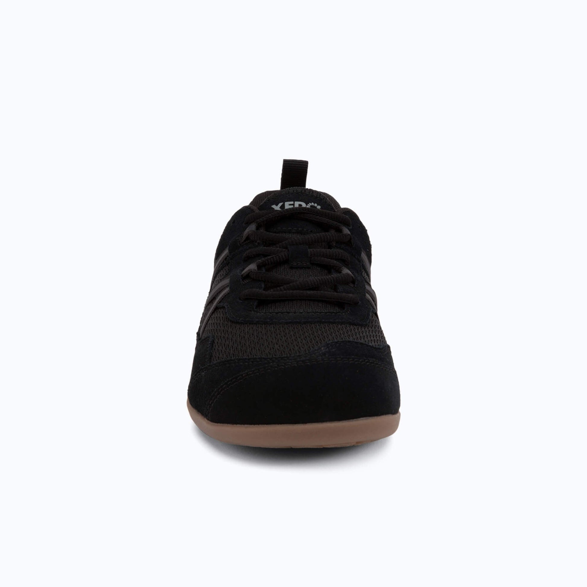 Prio Suede - Men - Xero Shoes On Sale