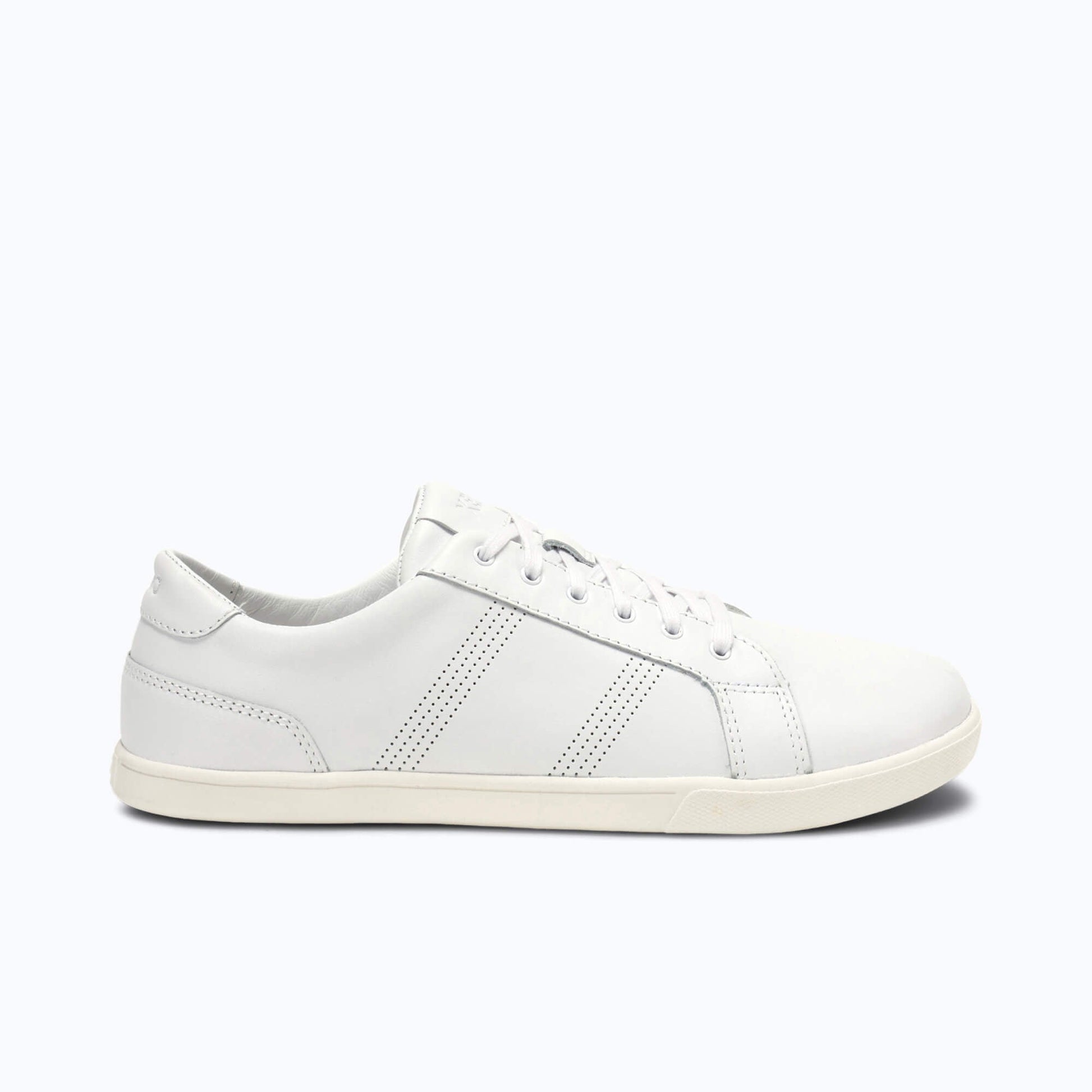 Dillon Leather - Men - Xero Shoes Special Offer