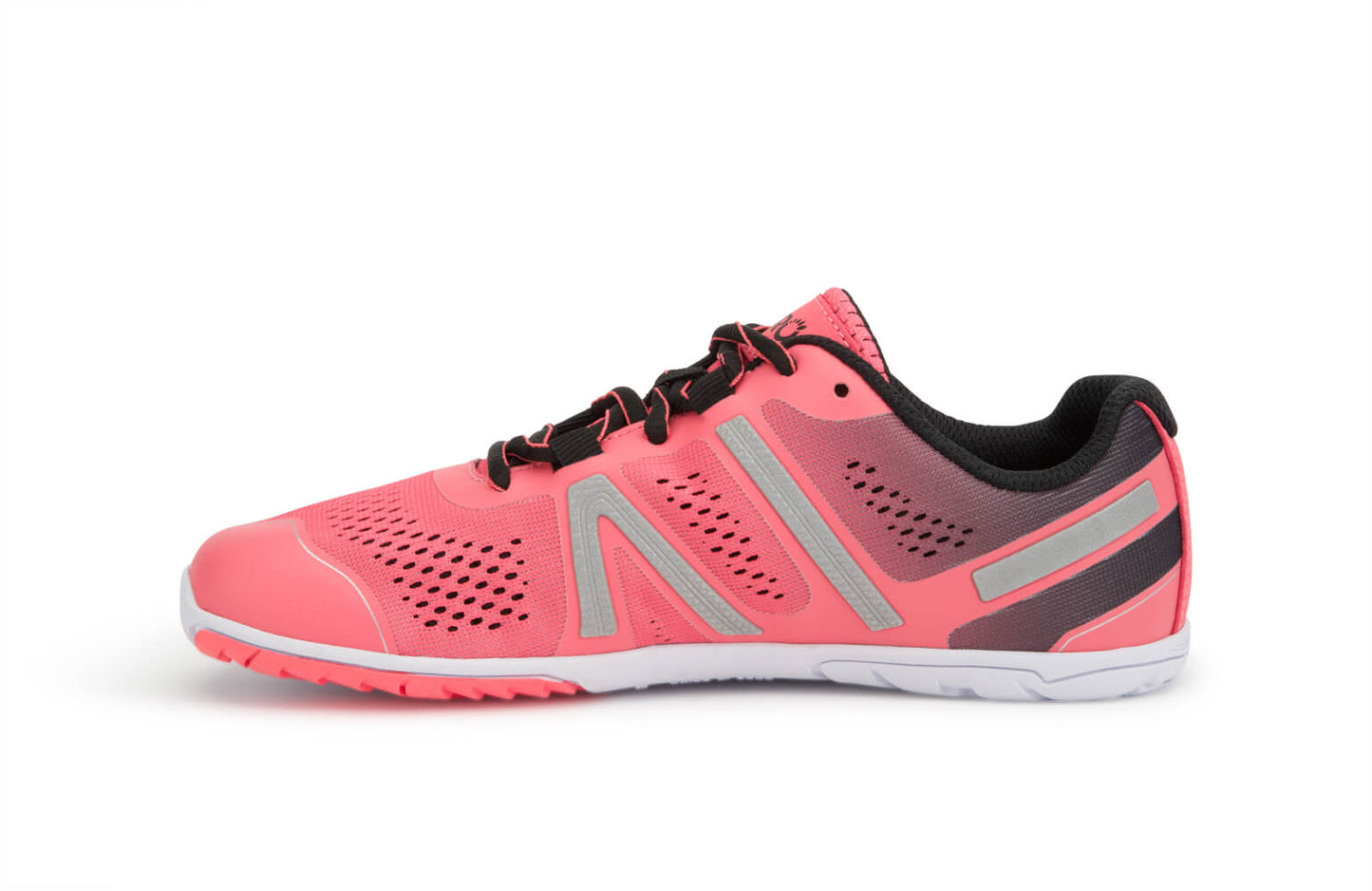 HFS - Women (Clearance) - Xero Shoes Value Pack