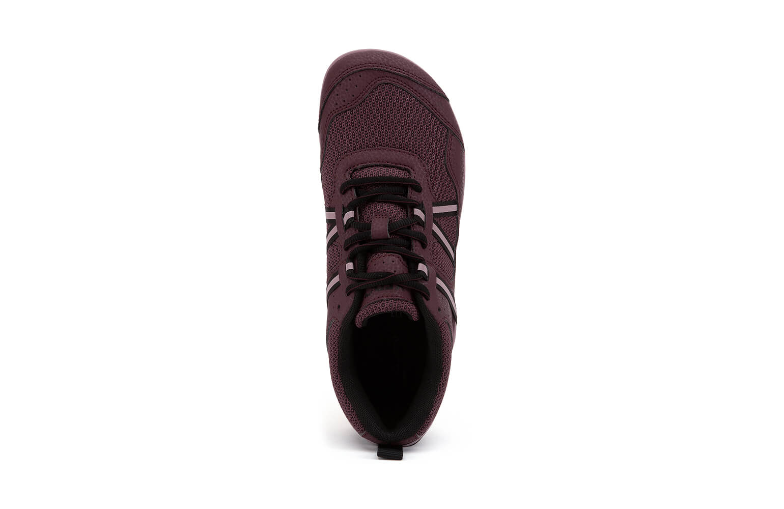 Prio - Women (Clearance) - Xero Shoes Bargain